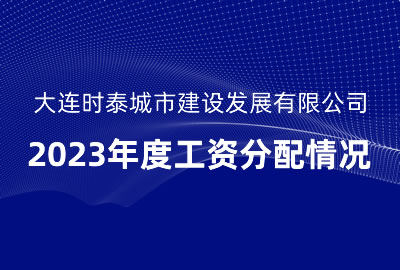 大連時泰城市建設發展有限公司2023年度工資分配情況