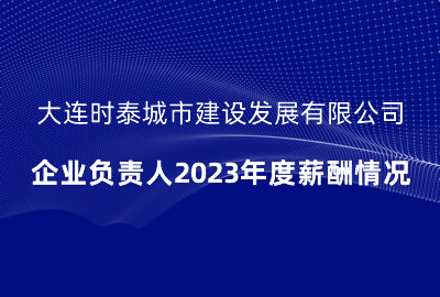 大連時泰城市建設發展有限公司 企業負責人2023年度薪酬情況